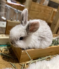 生後14日
