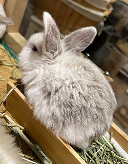 生後　日